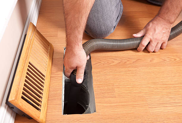 Best Air Duct Mold Removal  in Bradley, IL