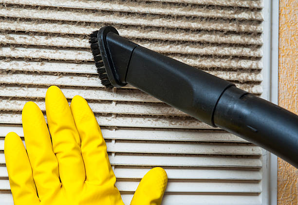 Best Affordable Air Duct Cleaning  in Bradley, IL
